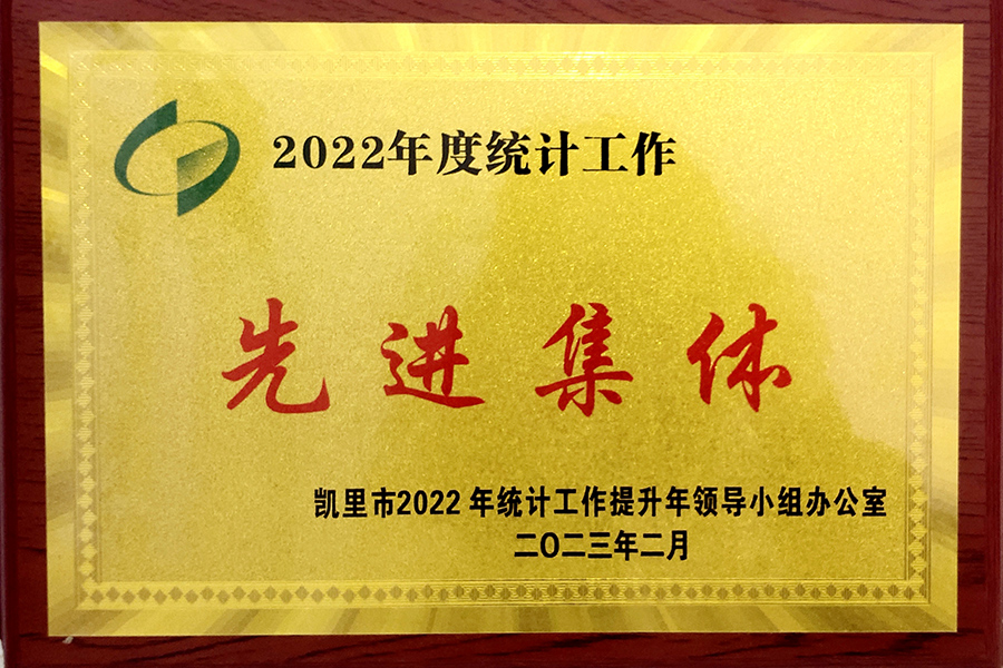 凱里市2022年度統(tǒng)計工作“先進(jìn)集體”榮譽稱號-貴州生物制藥